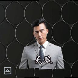 吴骏